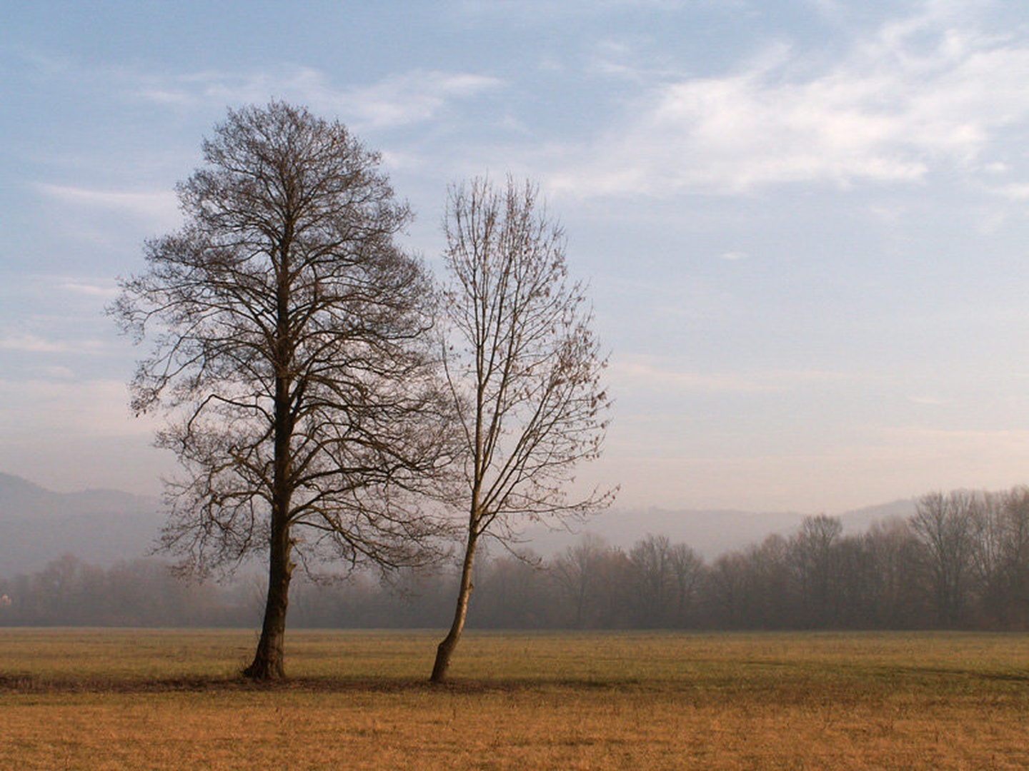 Just the two of us... by