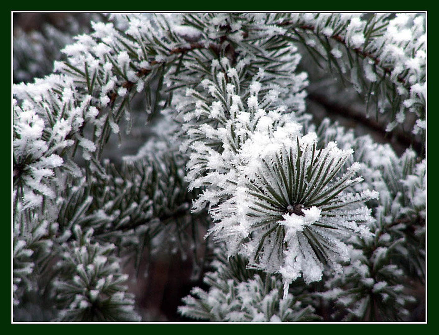 Brrr by