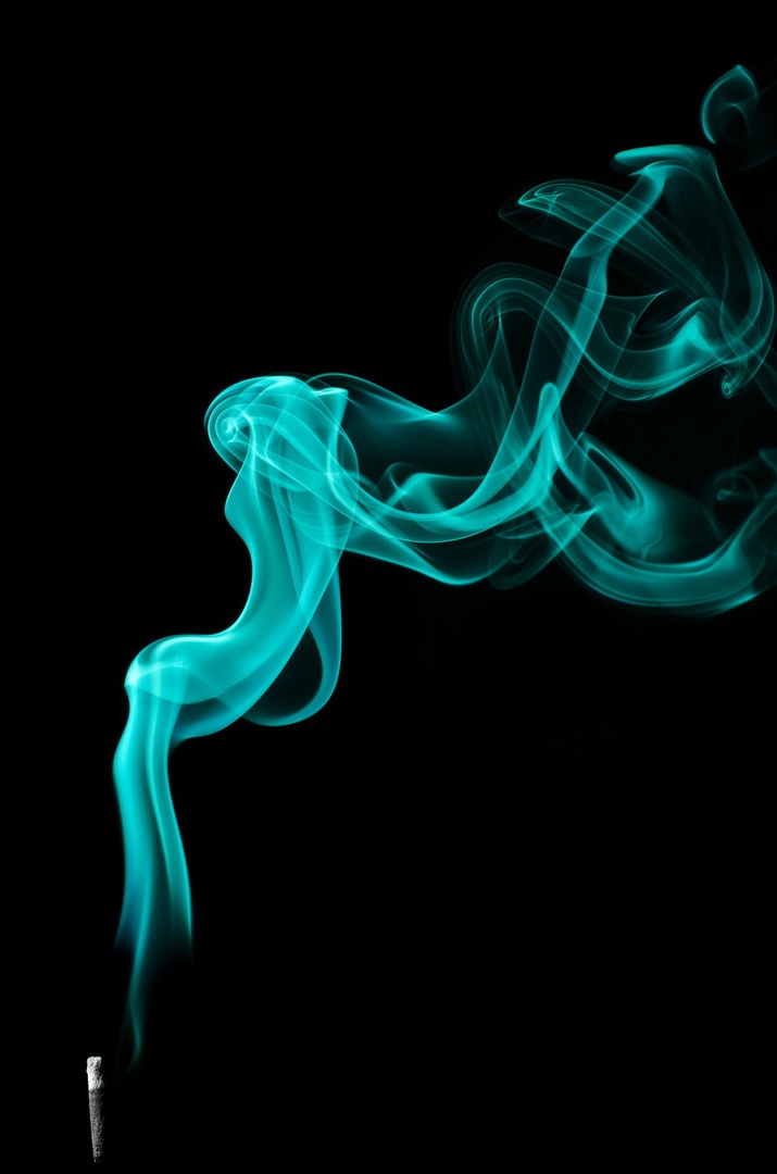 Up in smoke tour by Cigajna