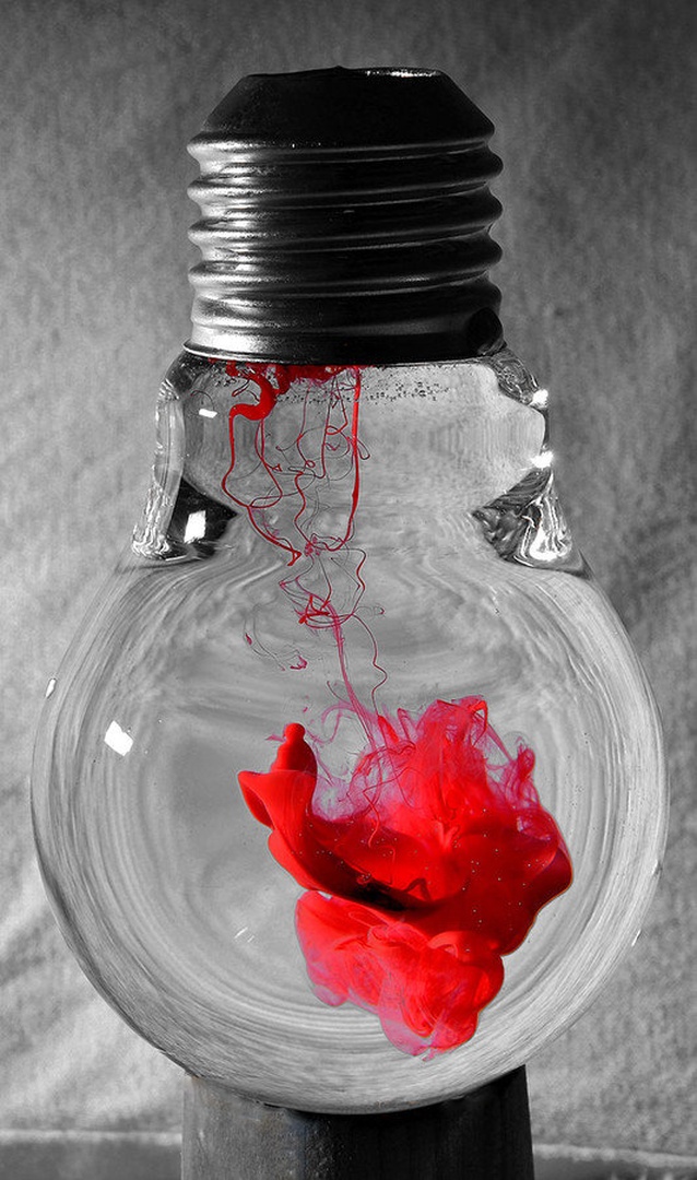 bulb by Jaka