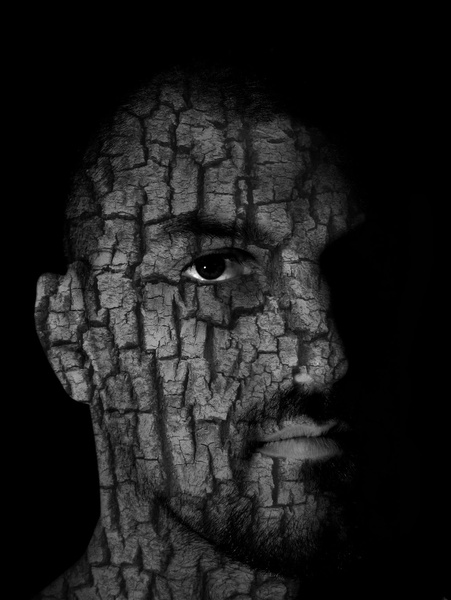 tree face by Jaka