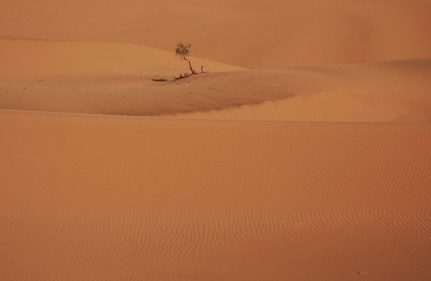 lonely by Durga