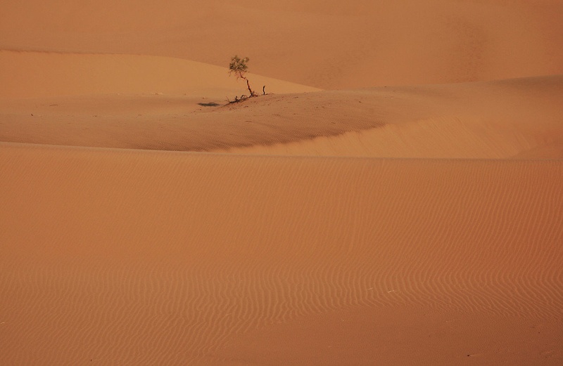 lonely by Durga