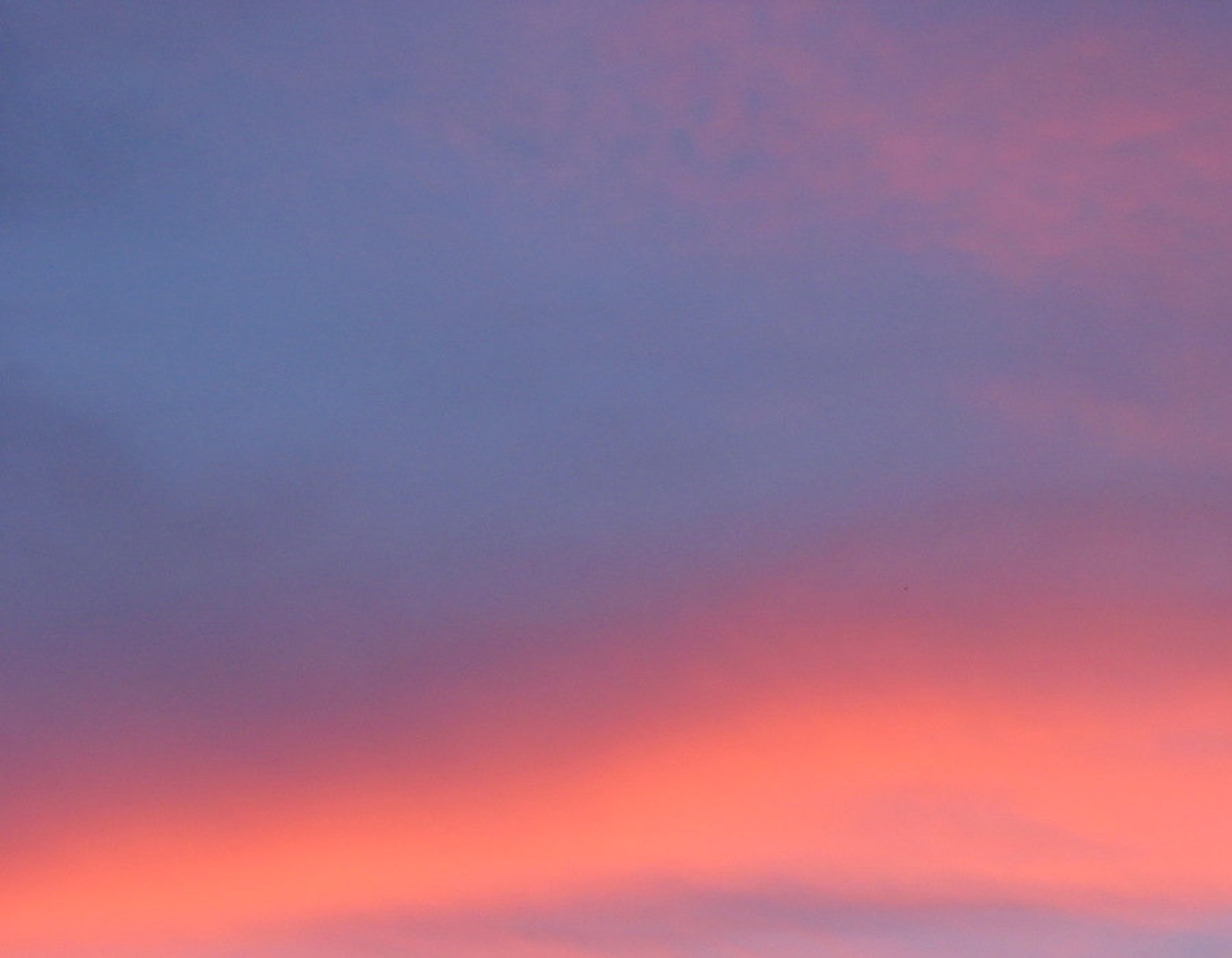Purple Sky by