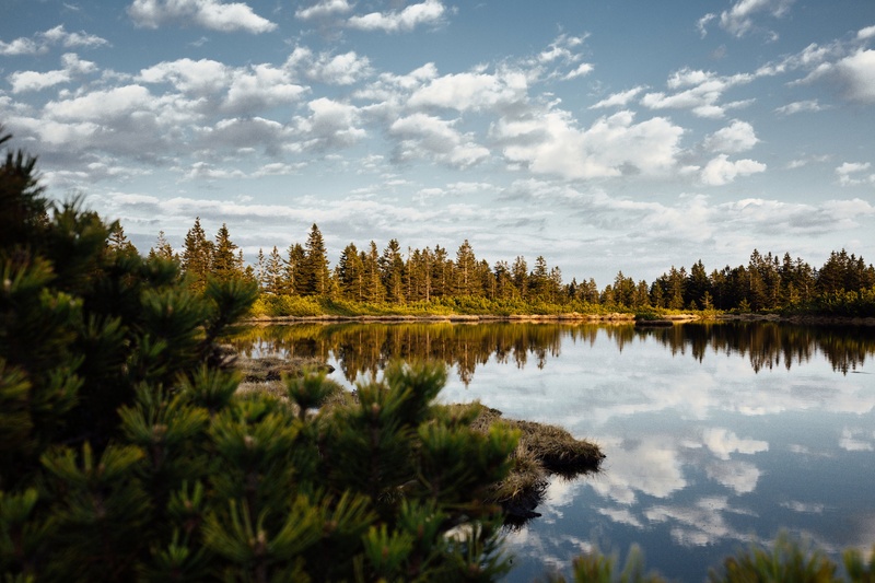 Ribniško jezero by Tilen Sešel