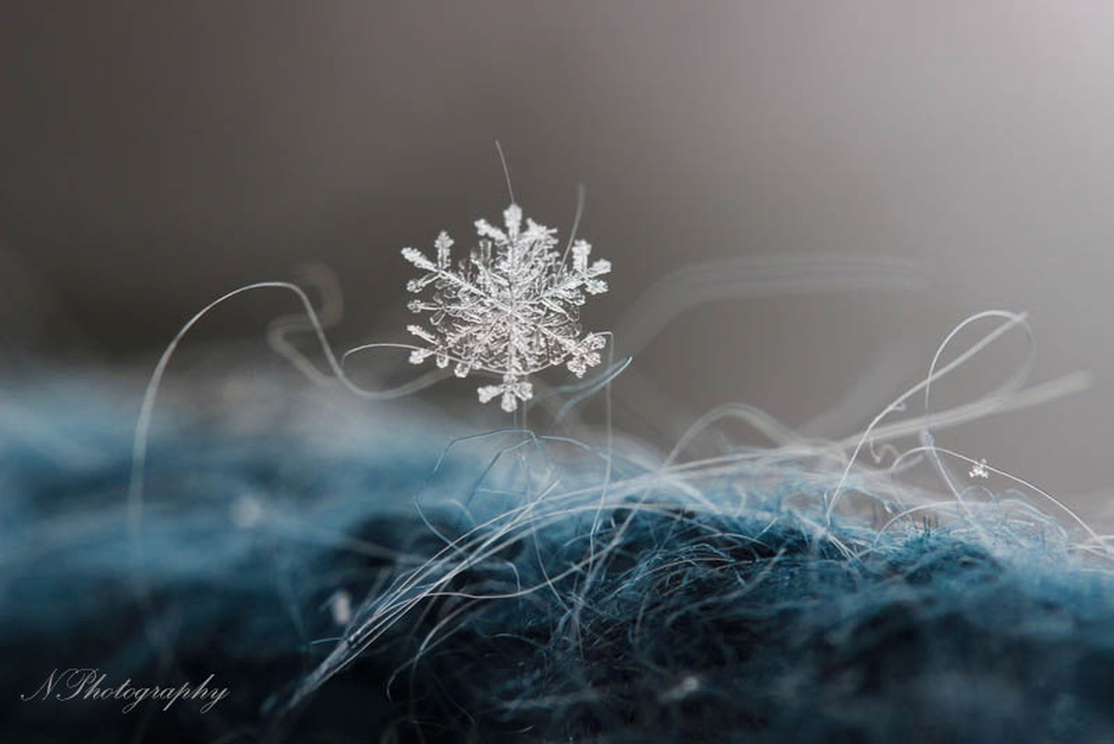 Winter memories by Nina Podobnik