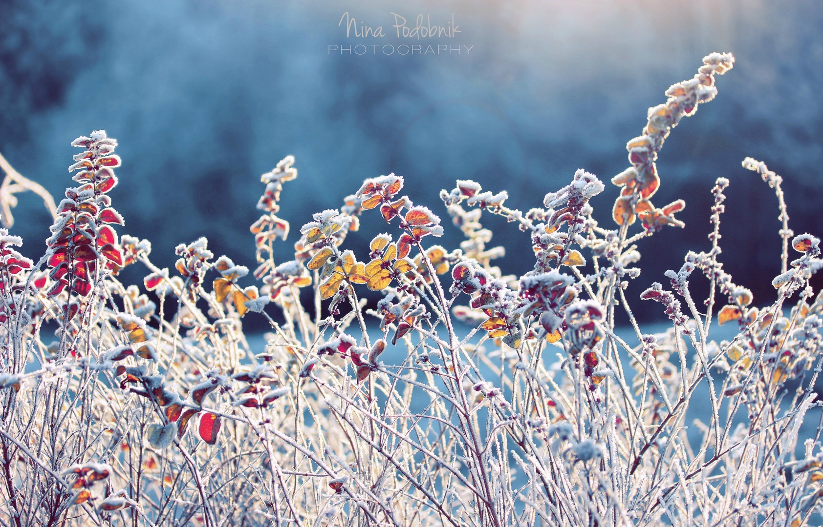 Jutranje sonce by Nina Podobnik