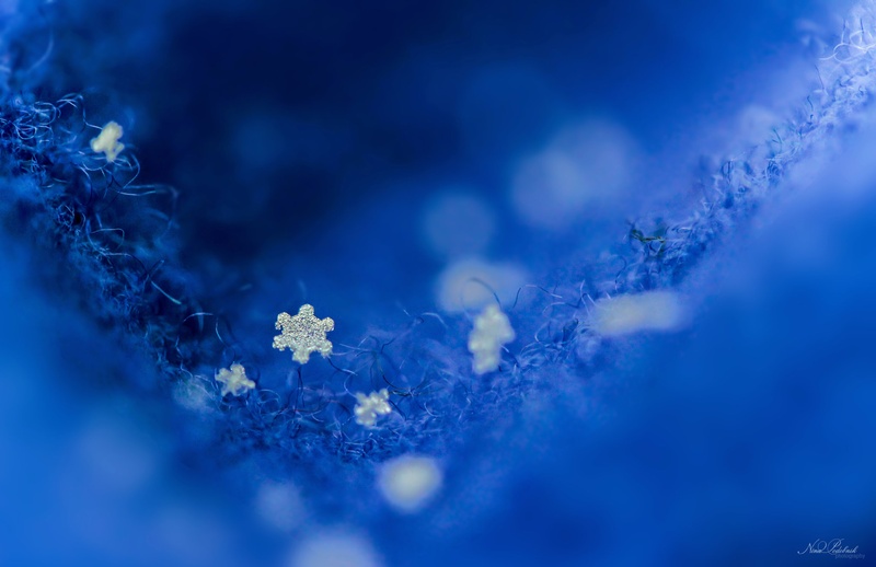 Flower from the sky by Nina Podobnik