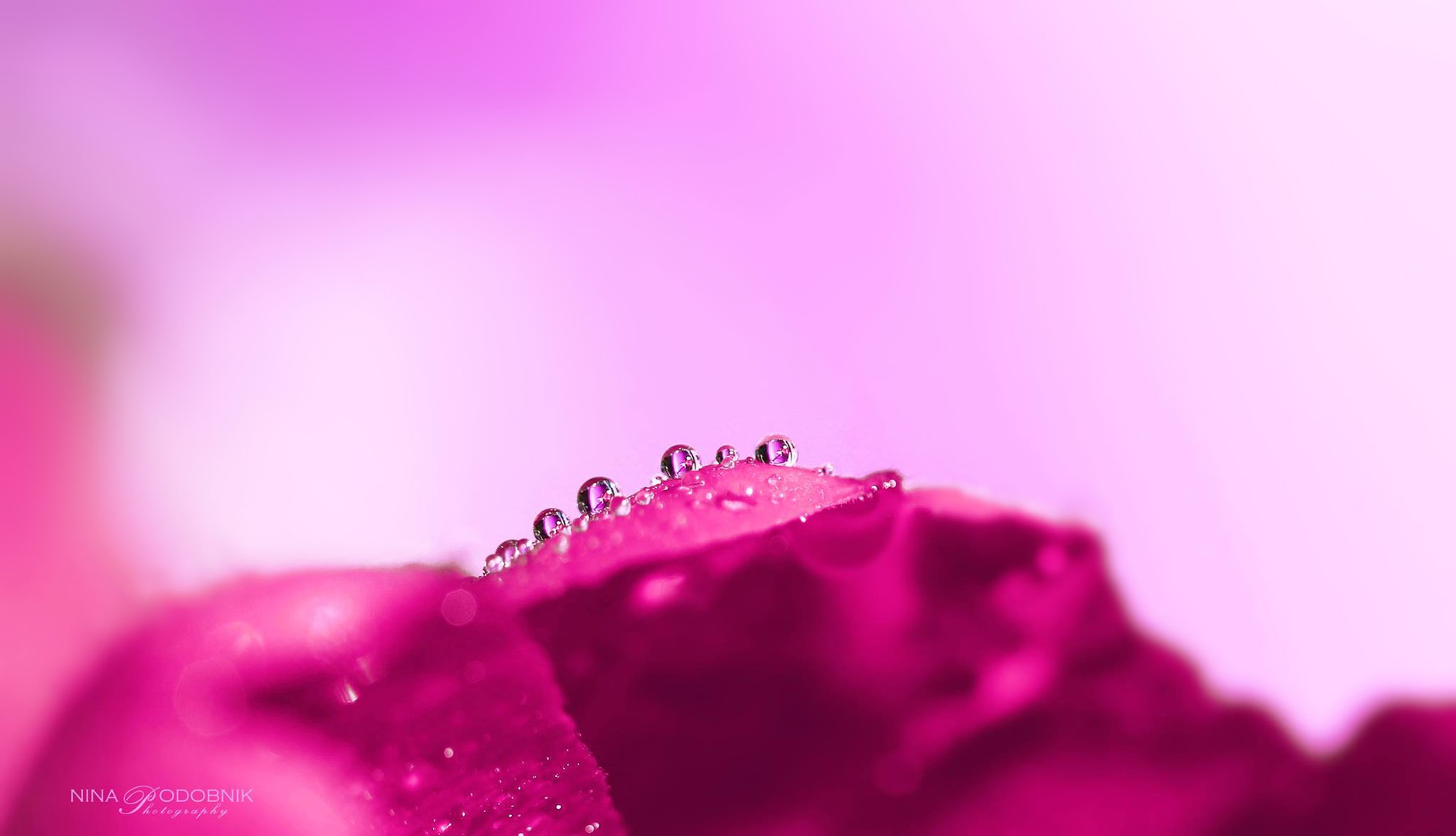 Little drops by Nina Podobnik