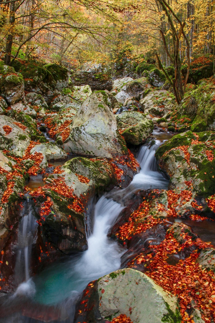 Deep forest waterfalls by Nina Podobnik