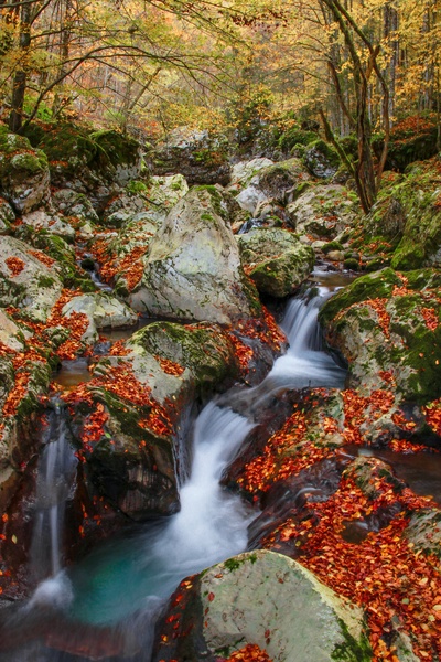 Deep forest waterfalls by Nina Podobnik