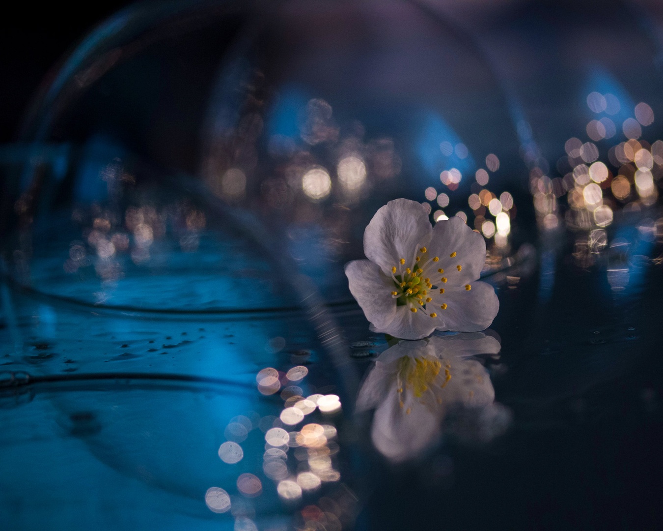 Lost between the bubbles by Nina Podobnik
