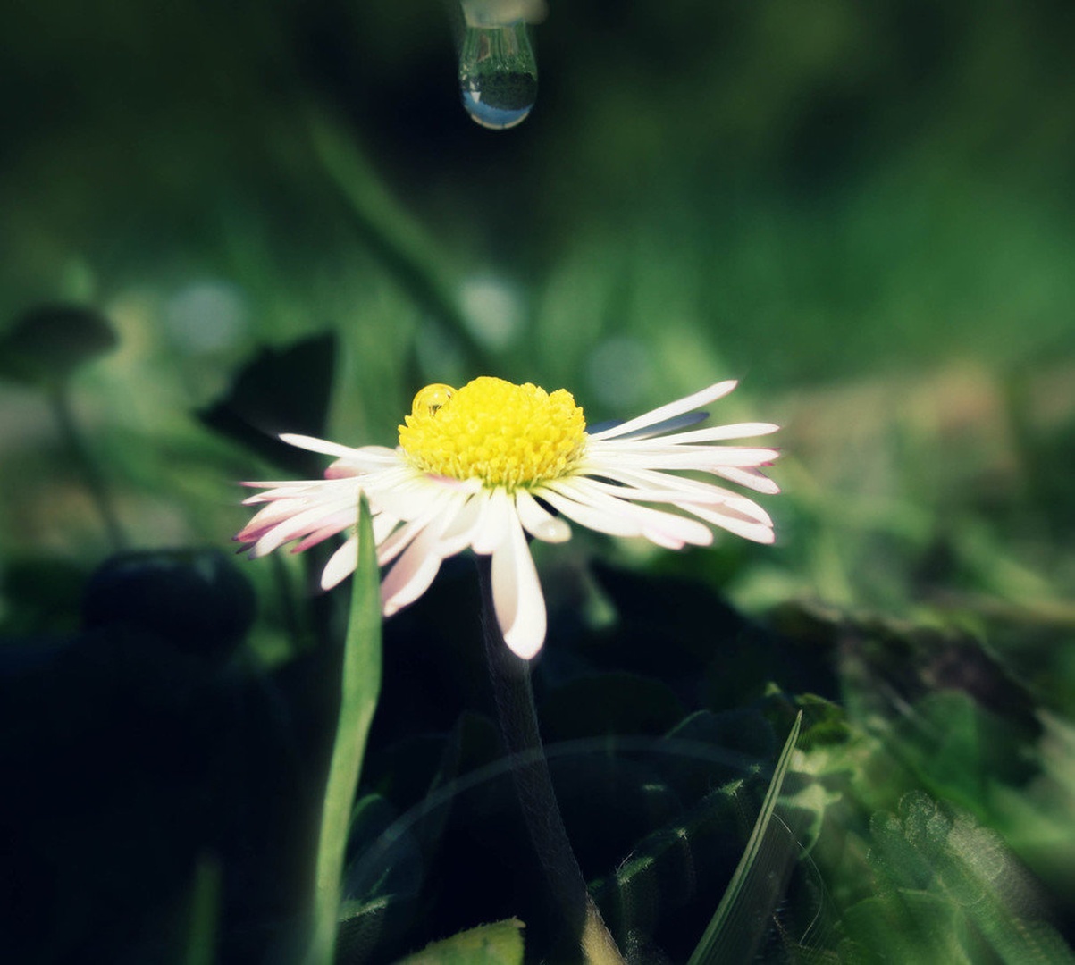 :) by david podgornik
