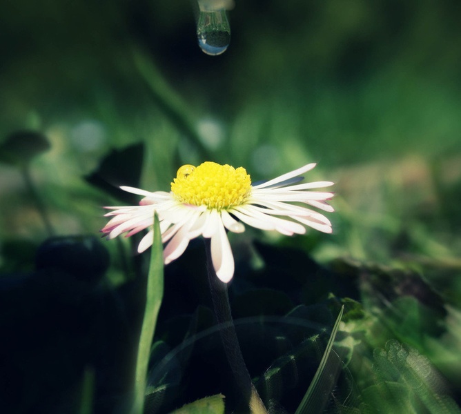 :) by david podgornik