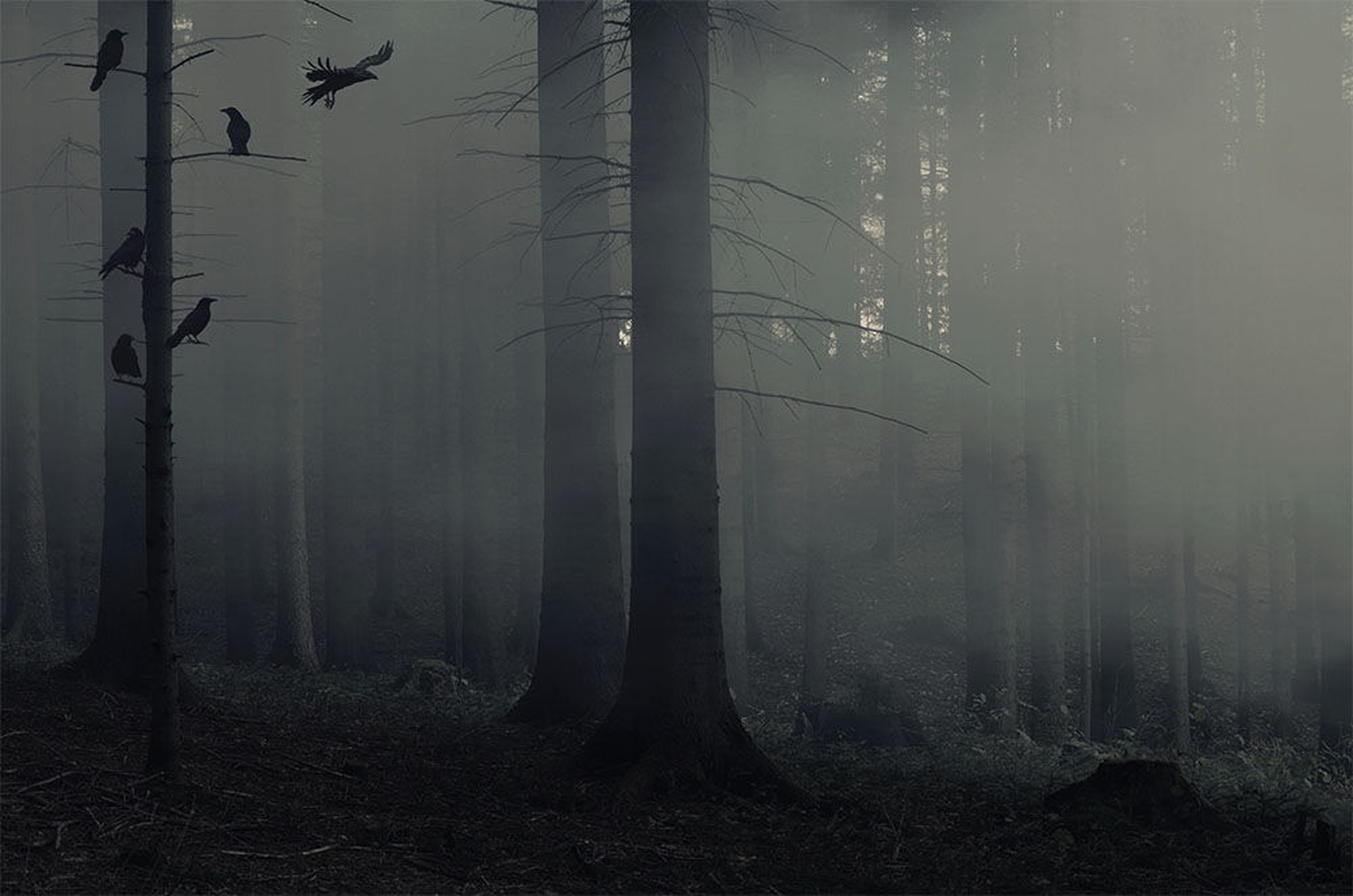 1996 by Matjaz Jerman