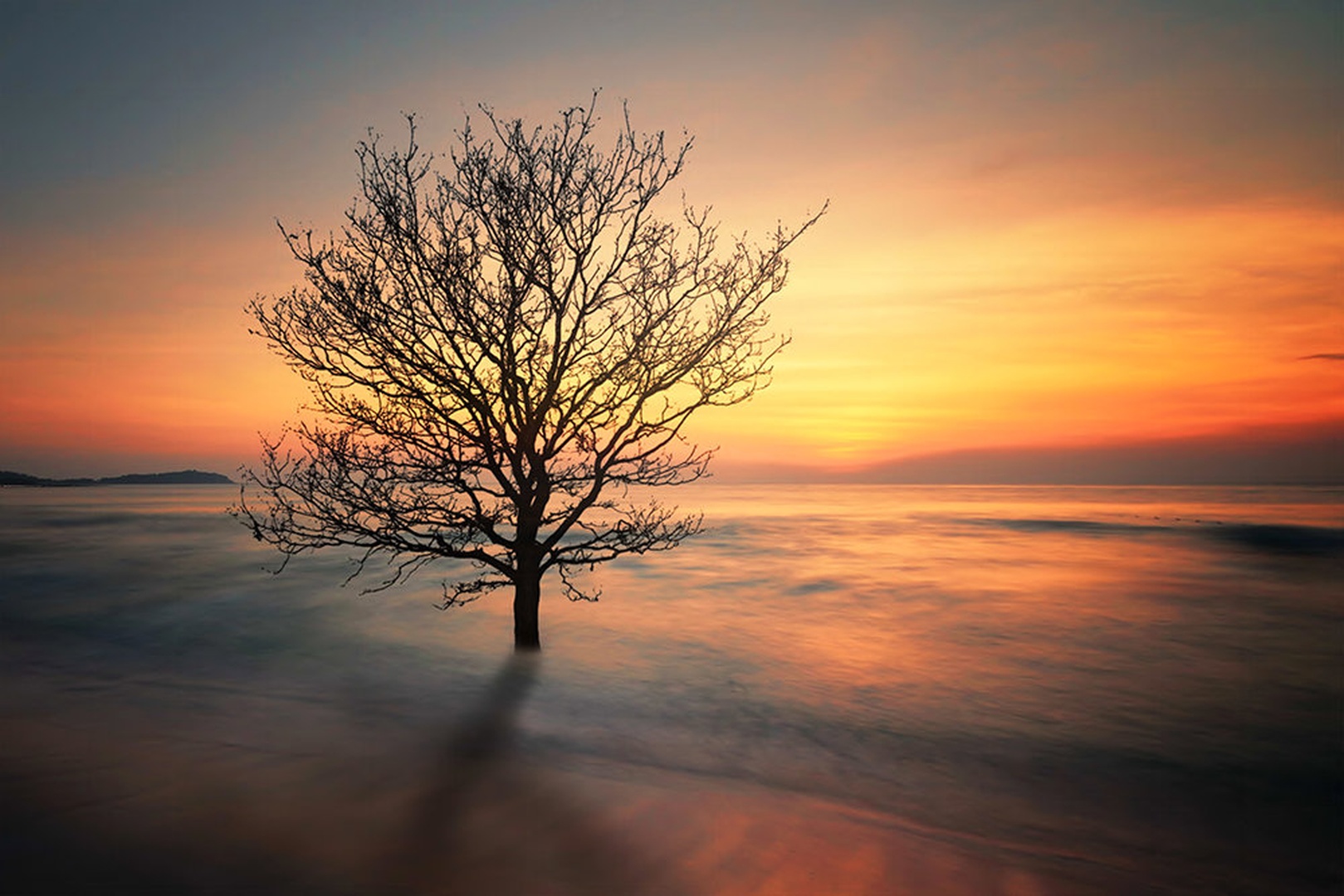Sad Tree by Matjaz Jerman