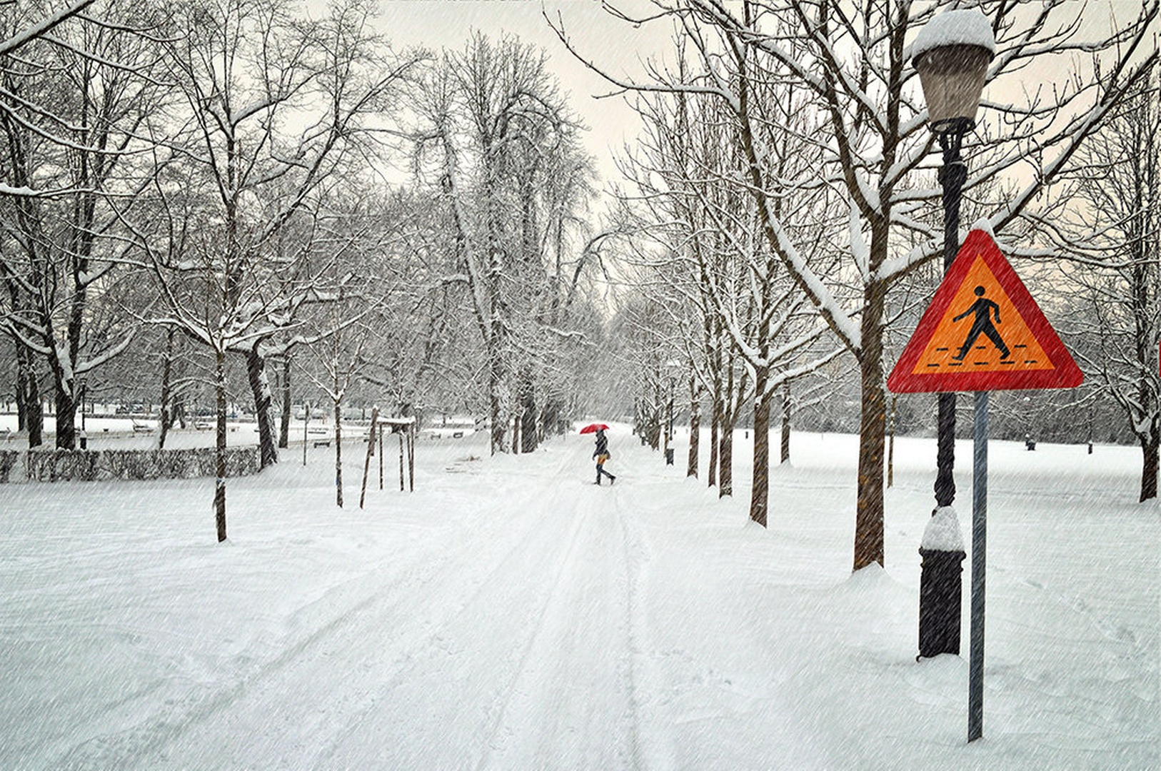Just Crossing by Matjaz Jerman