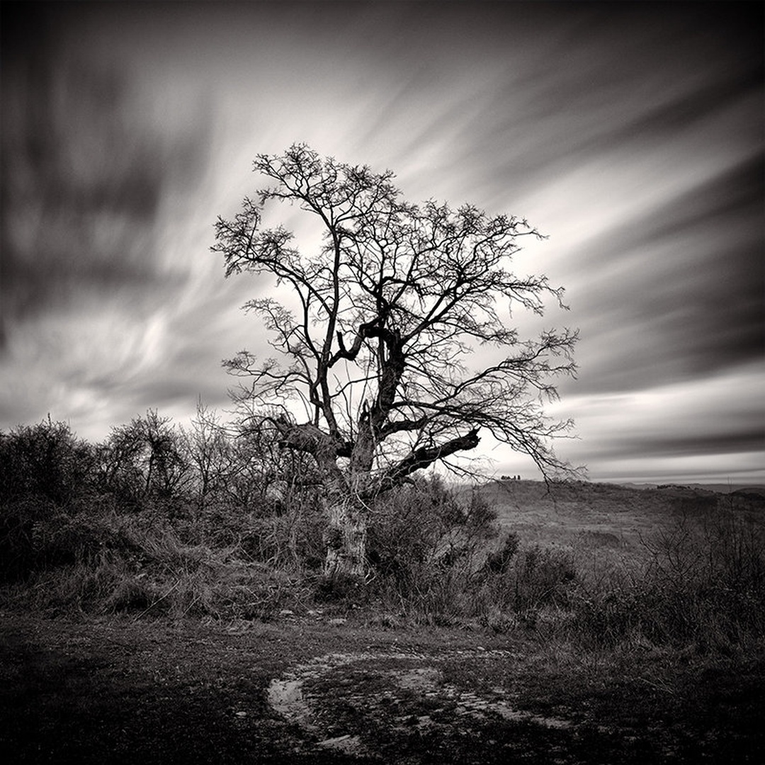 Memories of the last century by Matjaz Jerman