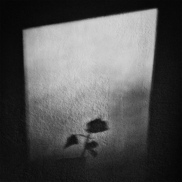 One Drop by Matjaz Jerman