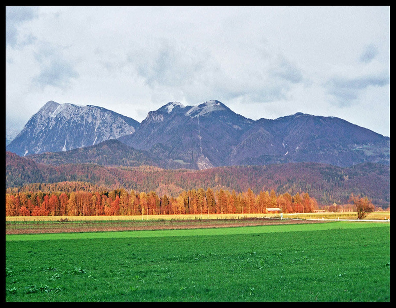 Krvavec by