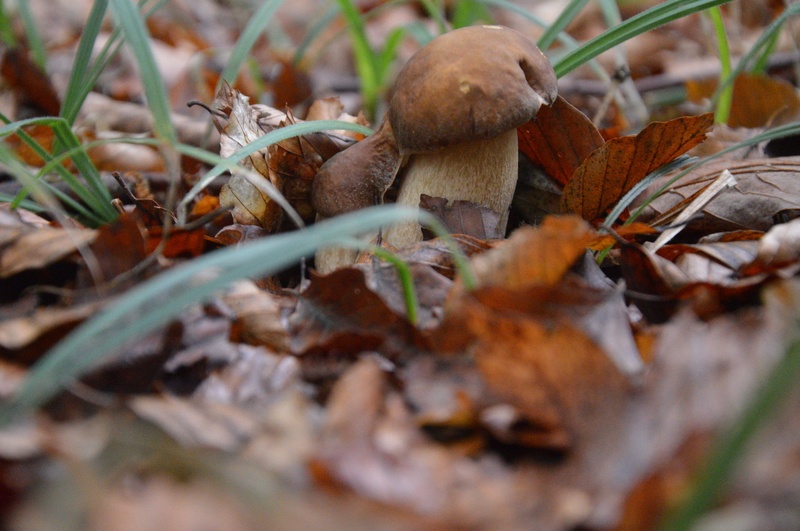 Dvojčka by :)