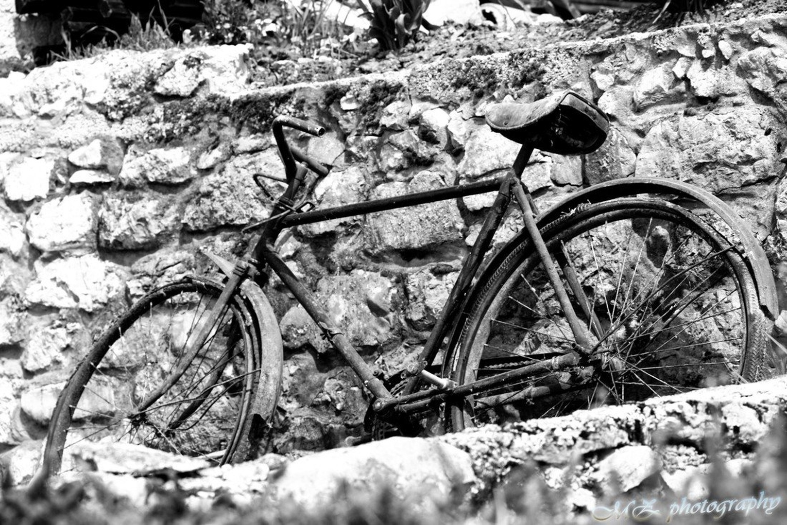 too old to ride by Marko Zupančič