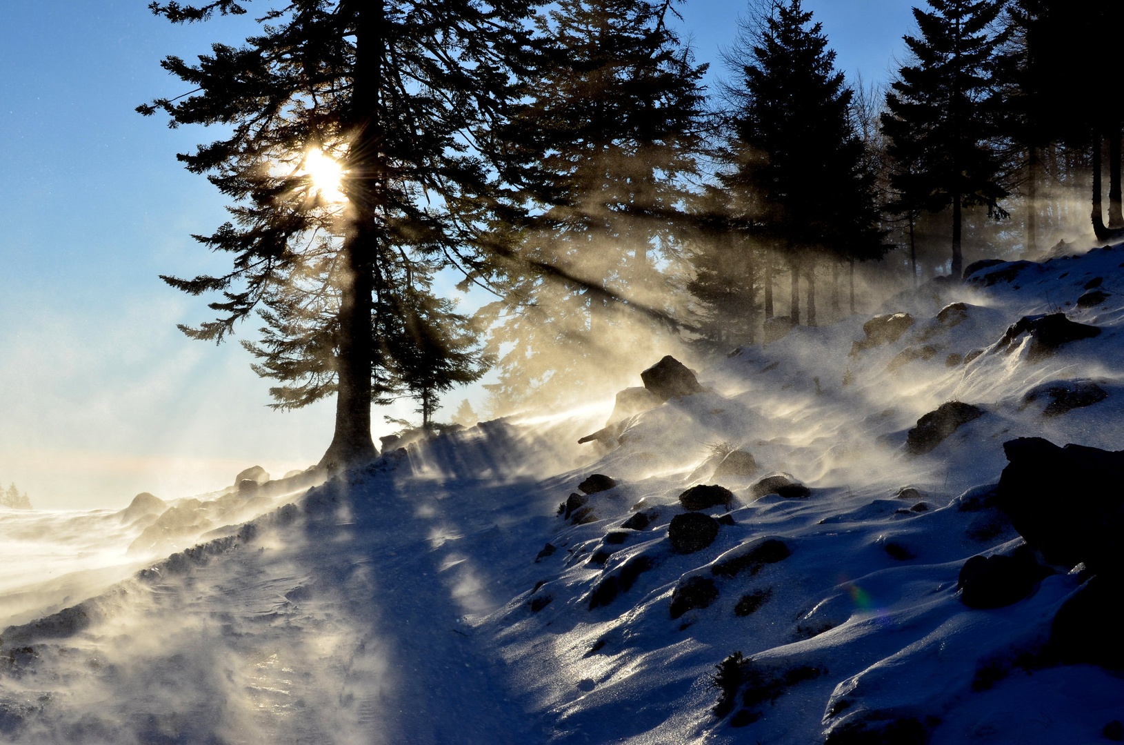 HLADNO SONCE by Domen Jančič