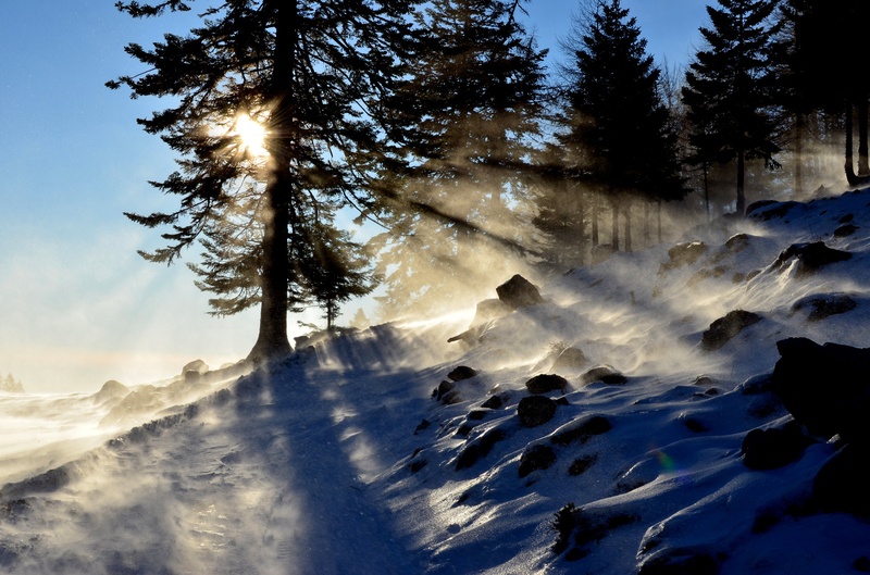 HLADNO SONCE by Domen Jančič