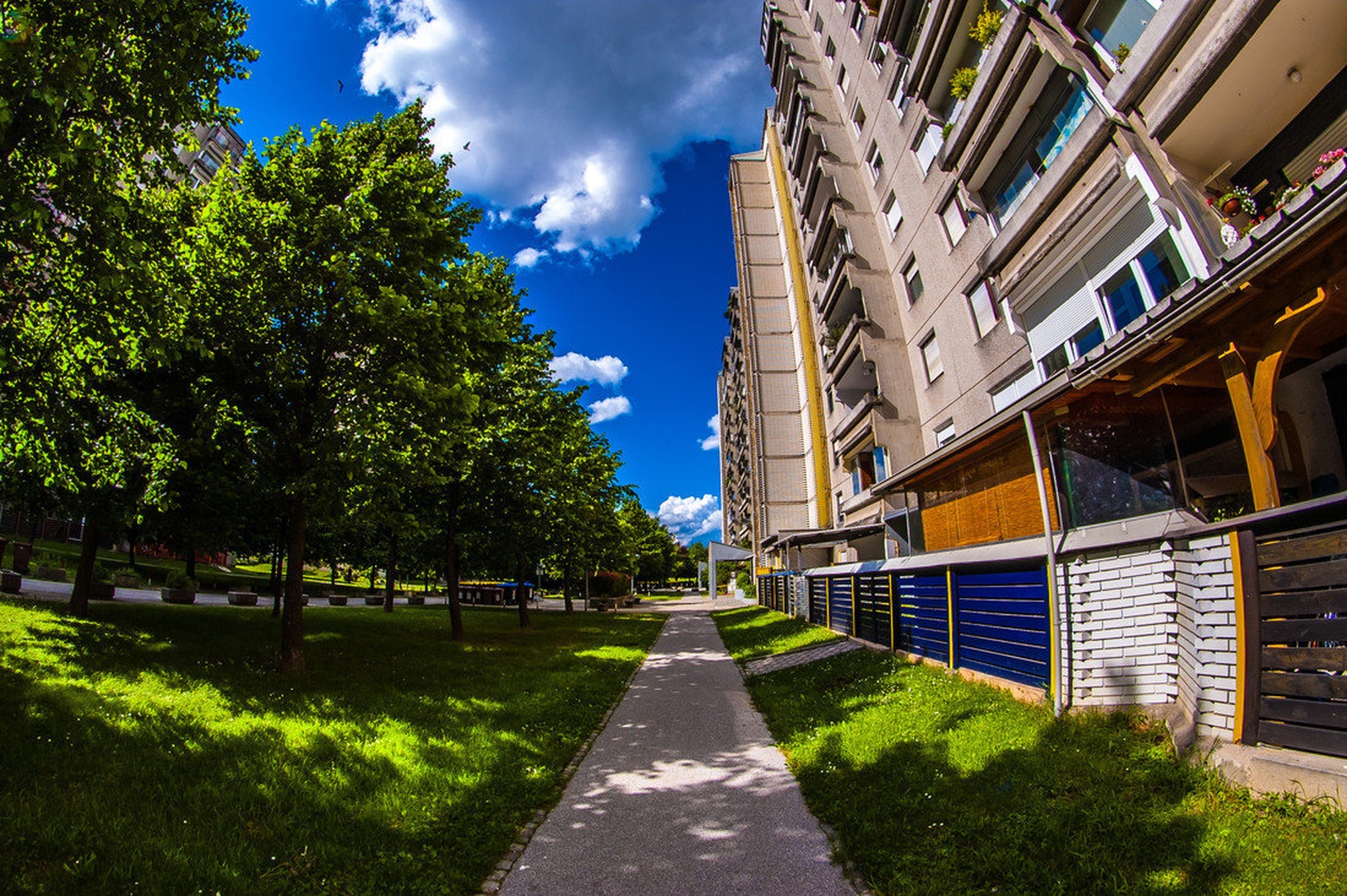 My hood by Matic Kremžar