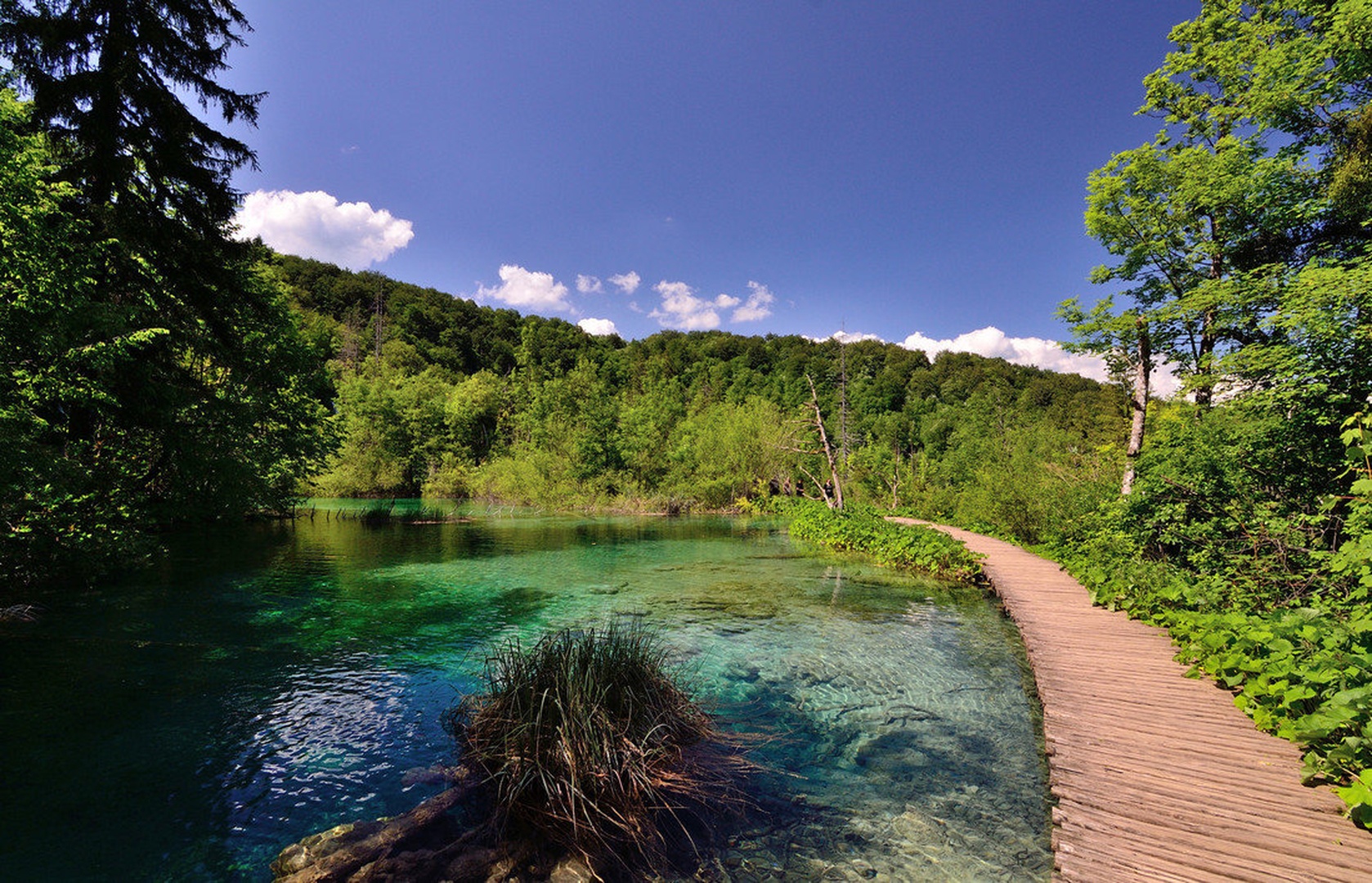 Clear water by Marko Lipovec