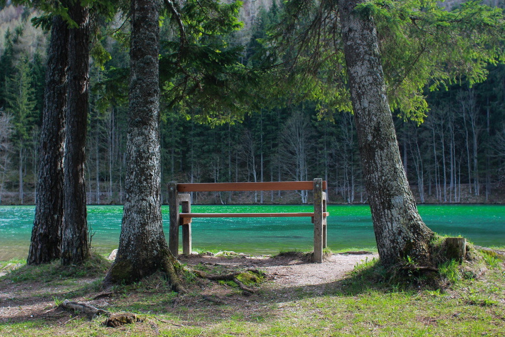Samotna klopca by Sups