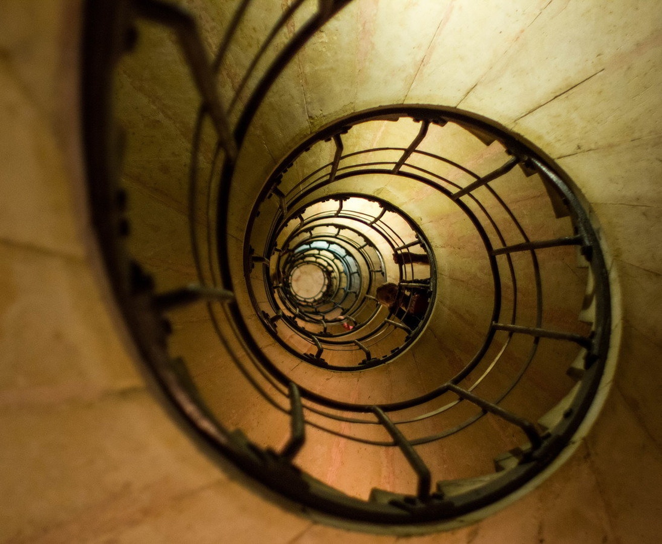 Snail house by Sups