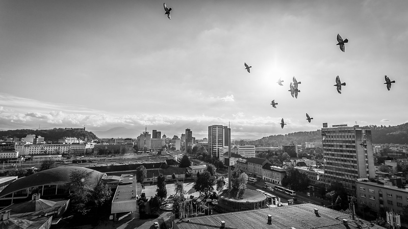 Floating by Sups