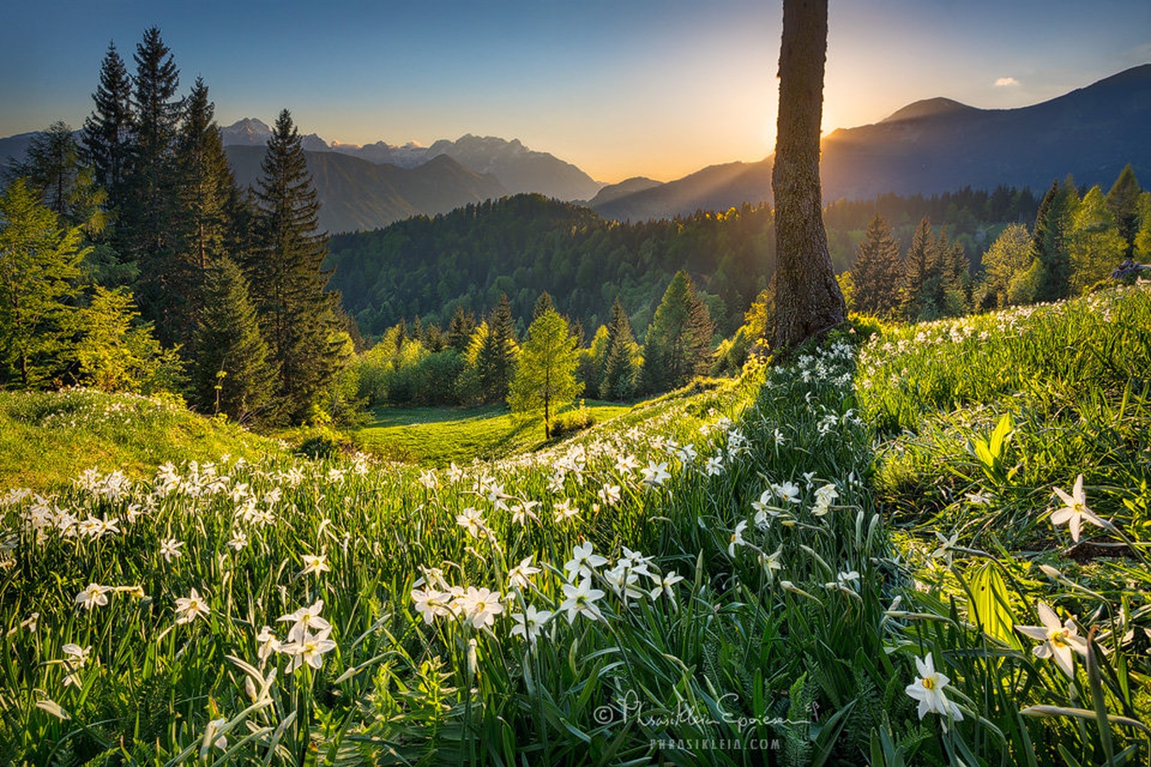 Fresh Air by Erin Babnik