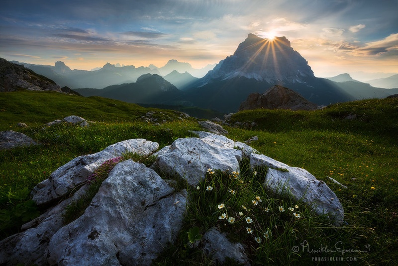 Light Motif by Erin Babnik