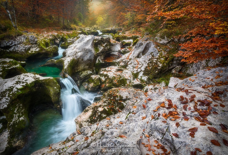 Scattered by Erin Babnik