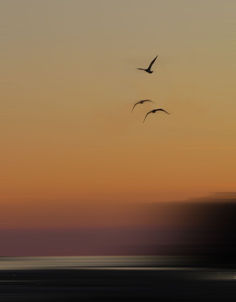 impresija by tanja likeb