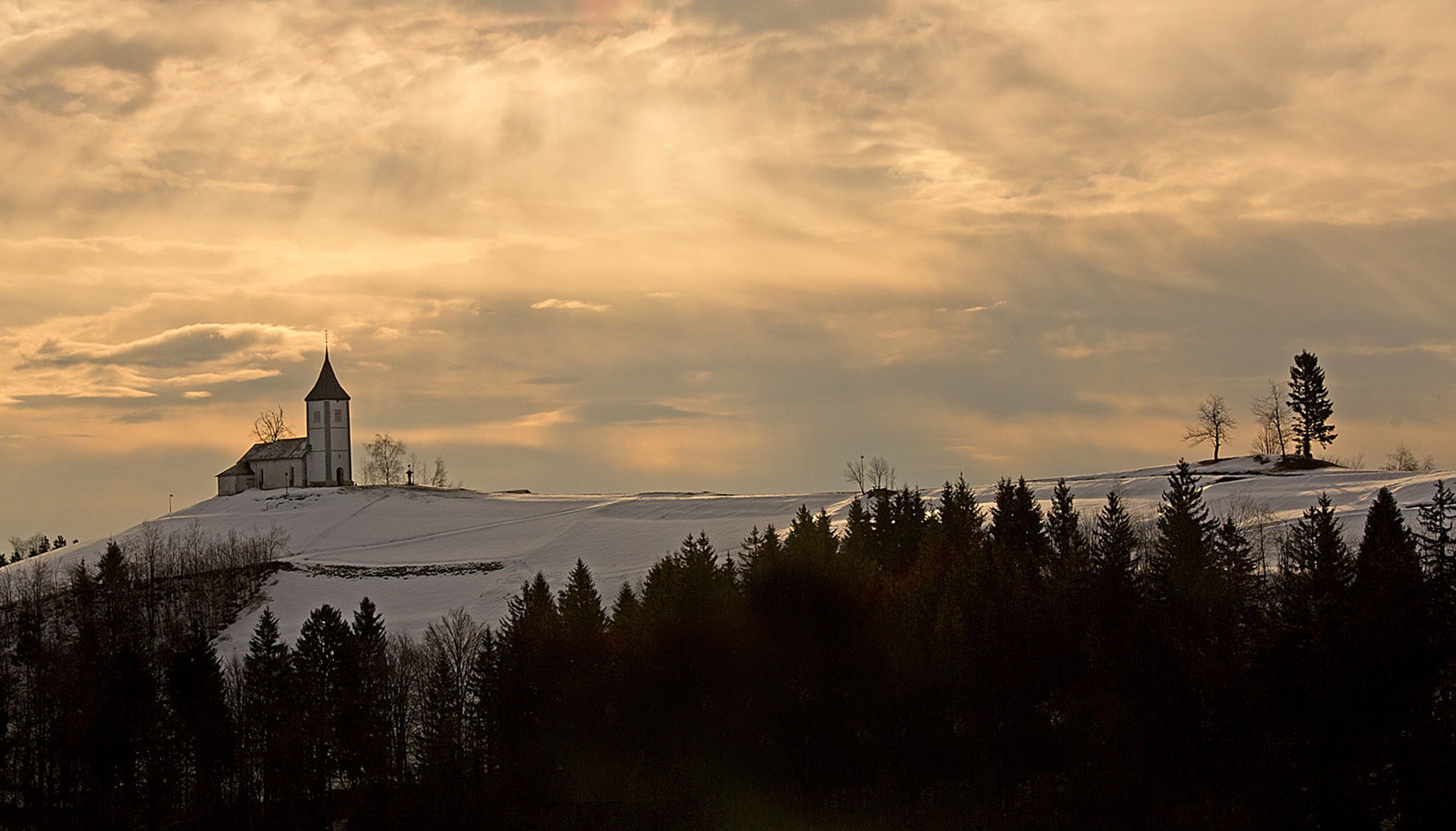 Moj Jamnik by tanja likeb