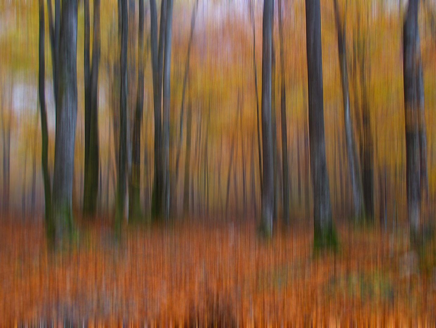 Jesen by tanja likeb