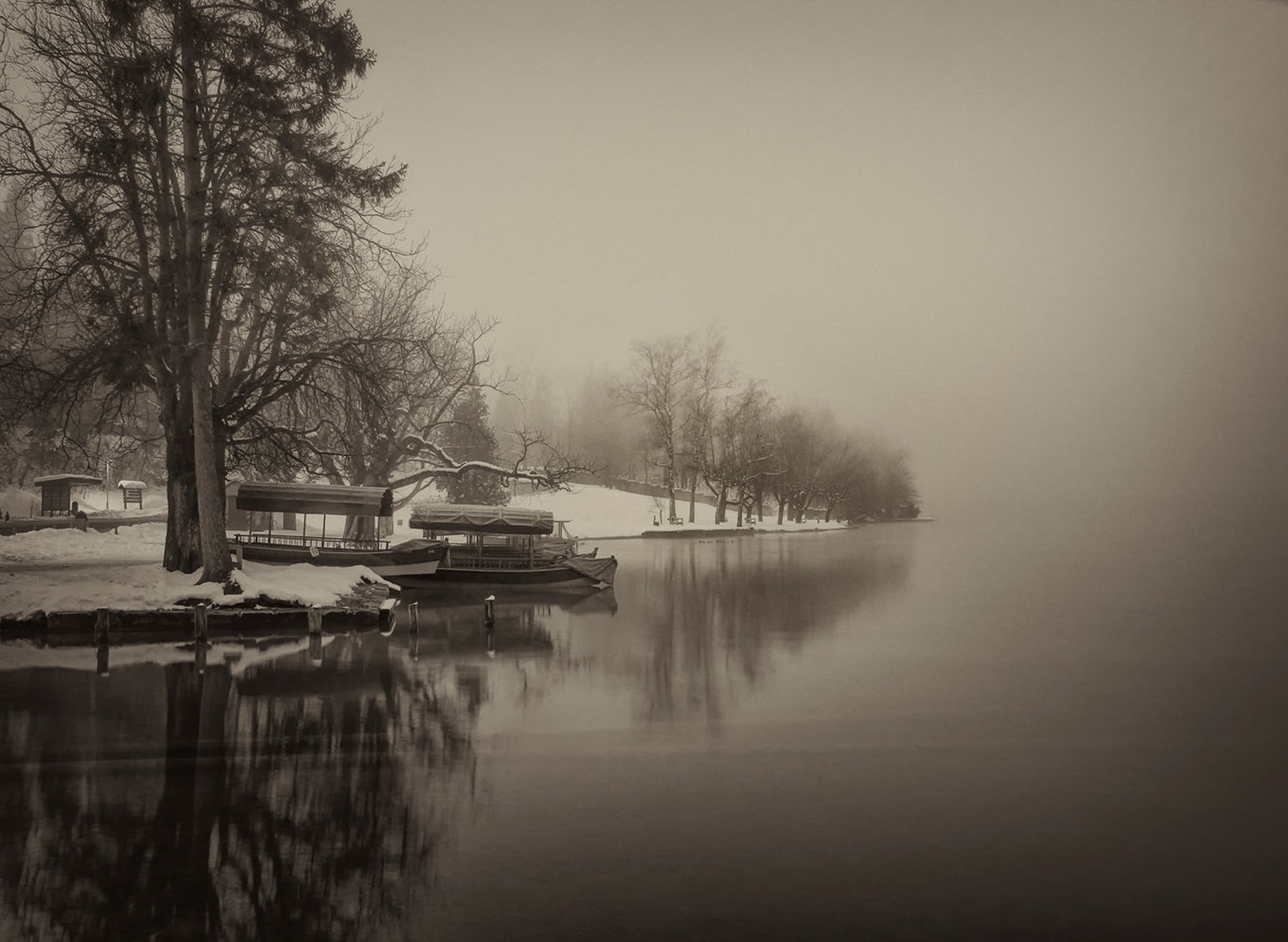 Jutro na jezeru by tanja likeb