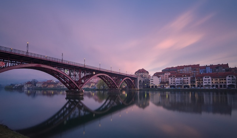 Dreamy Morning by Tanis Kodrun