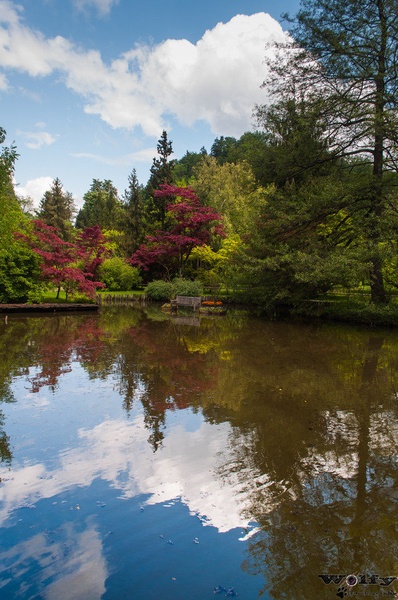 Odsevi | Arboretum Volčji Potok by Uroš Vovk