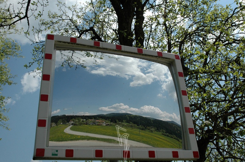 Zelenaslofoto 2. by tanja Gobec