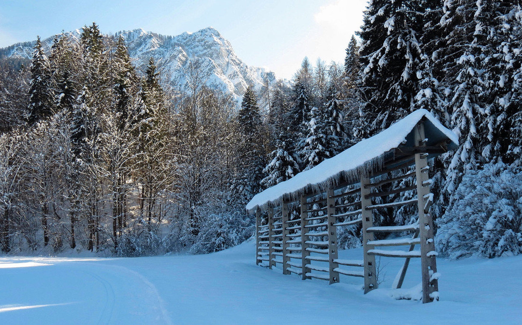 Zimska pravljica by Mark Jarc