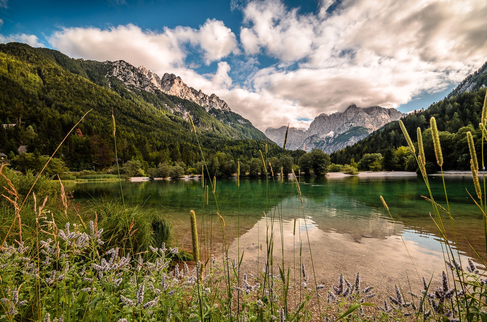 Jasna by Miran