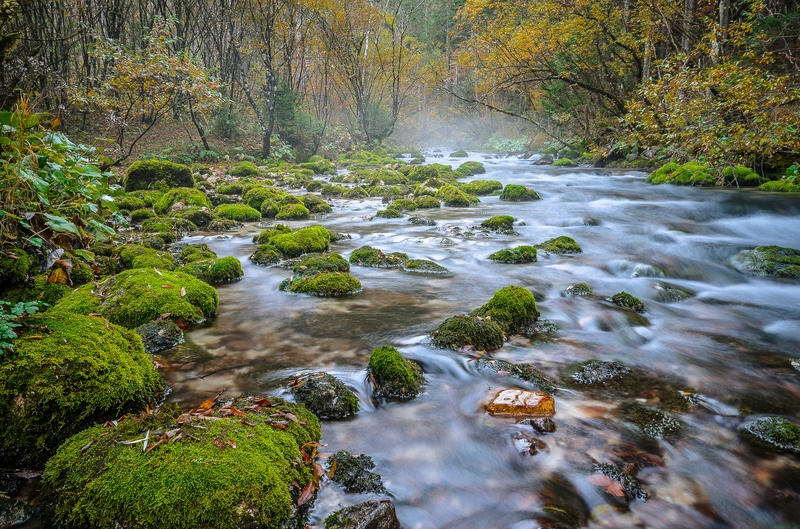 Skrivni kotiček by Miran