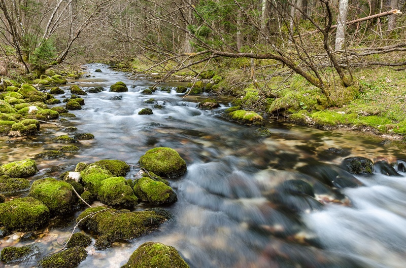 Kamniška Bistrica by Miran