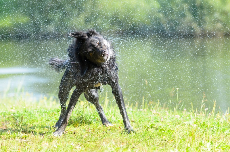 Slow motion by Miran