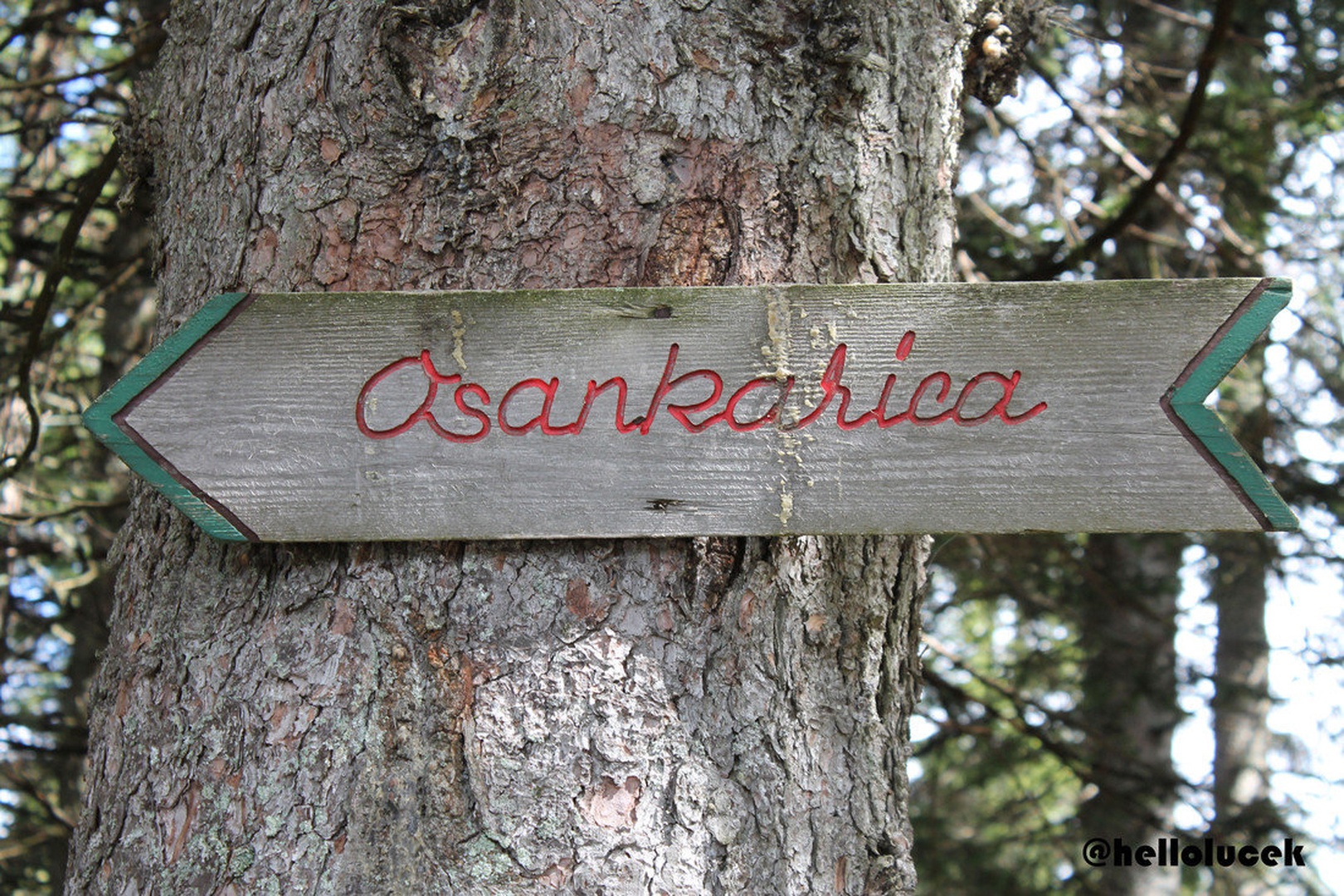 Osankarica by
