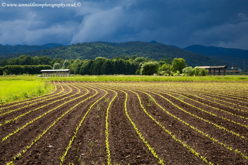 Approaching storm by Ian Middleton